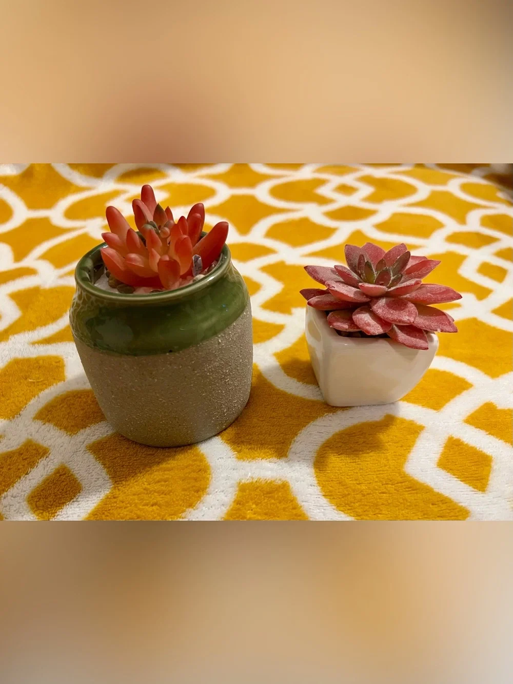 Set of 2 Artificial Succulent Plants in Ceramic Pots, Round Gray & White Square